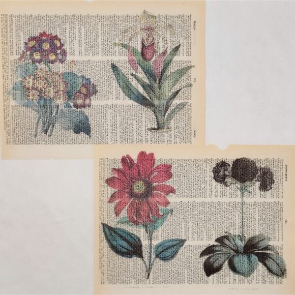 Flower Dictionary Prints 2, Colorful Floral Prints, Book Page Prints - Picture 4 of 6